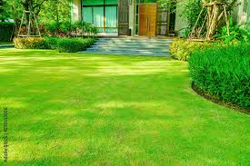 Greener Grass Landscaping