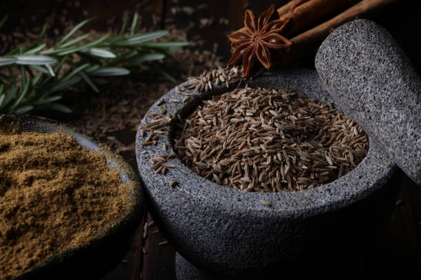 The Wonders of Jeera: Understanding Cumin – A Dive into KOP United GmbH